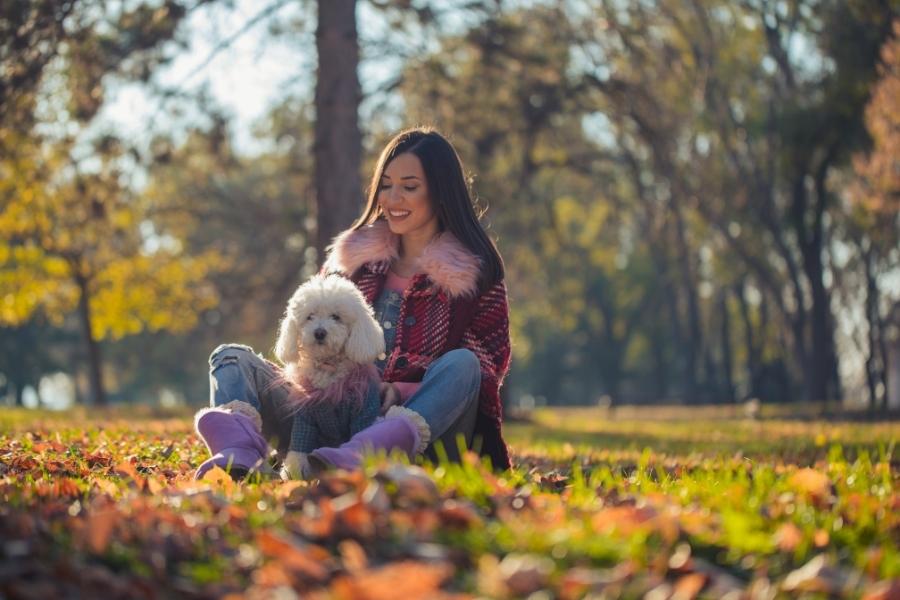 Alternatives to Pet Boarding During the Holidays